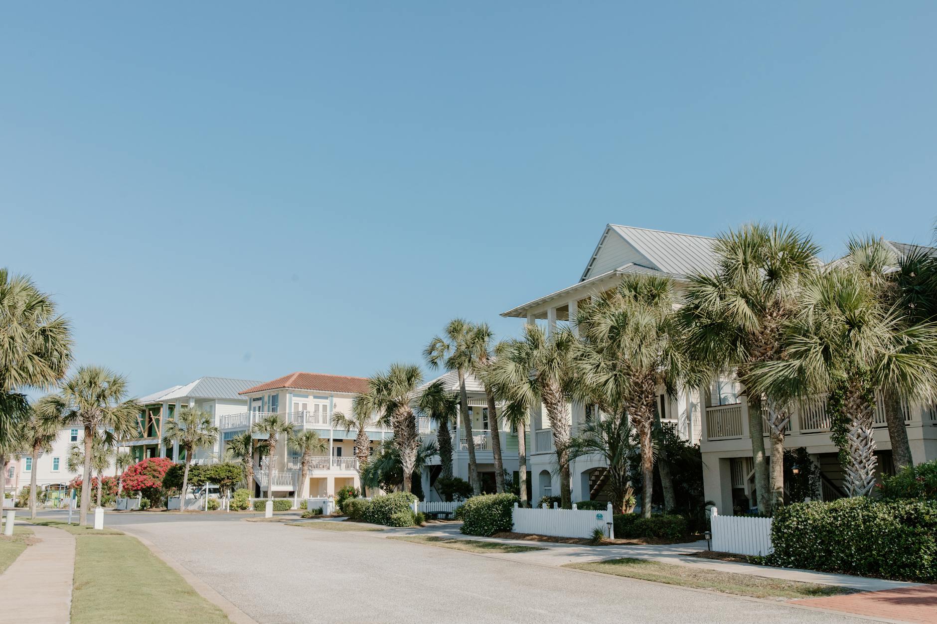 Davie Florida neighborhood street lined with homes